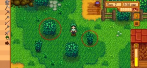 How to Remove Bushes in Stardew Valley Game